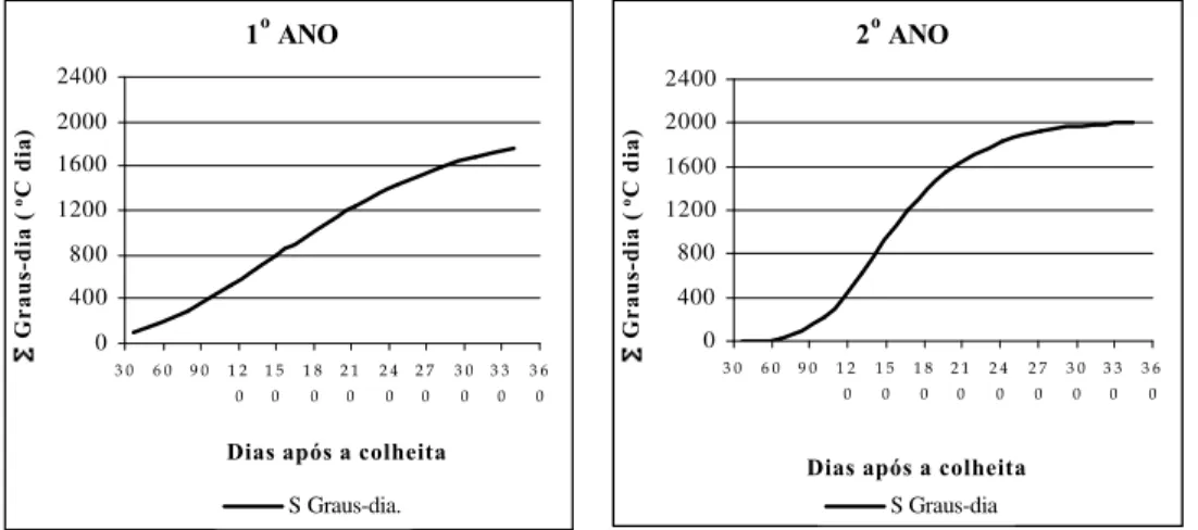 Figura 8 - Acúmulo de Graus dia (°C dia) no 1 o  e 2 o  ano de amostragem.