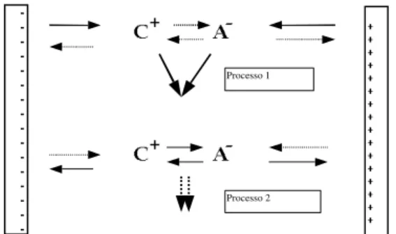 Figura 4 - Modelos simplificados de dois possí- possí-veis processos controlando os  proces-sos de lixiviação de cátions  e ânions em solos