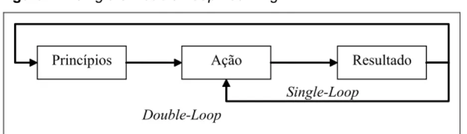 Figura 2 – Single e Double Loop Learning 