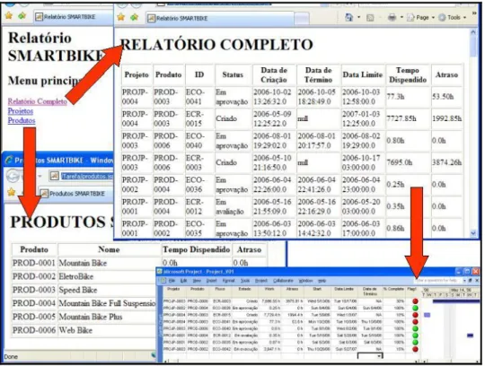 Figura 2 - Relatórios e Integração com o MS Project 