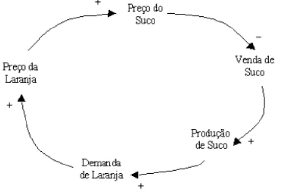 Figura 2  -  Diagrama de enlace causal representando a influência do preço do suco de laranja sobre a demanda (ACCIOLY,2001).