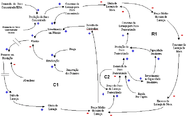 Figura 5 – Diagrama de Enlace Causal para o Complexo Agroindustrial Citrícola (ACCIOLY, 2001).