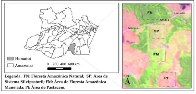 Figura 01 - Localização e dimensões relativas das áreas de estudo no início do período seco de Humaitá,  Amazonas.