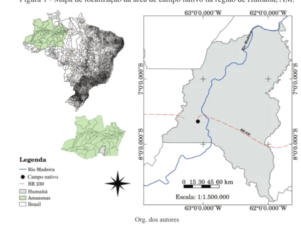 Figura 1 - Mapa de localização da área de campo nativo na região de Humaitá, AM.