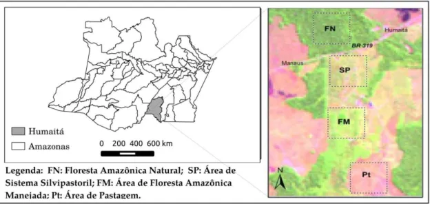 Figura 01. Localização e dimensões relativas das áreas de estudo no início do período seco de Humaitá,  Amazonas.