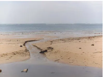 Figura 5 - Rio da Ilhota na praia de Mar Grande