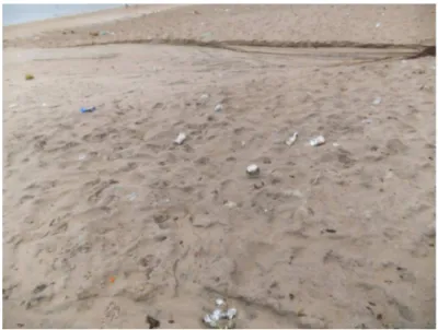 Figura 6 - Lixo e eluentes provenientes de barracas e residências na praia de Barra Grande
