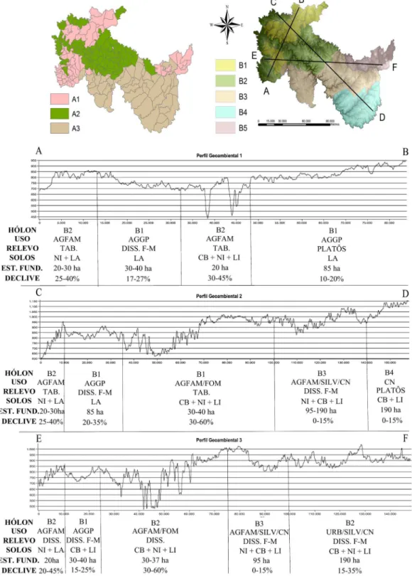 Figura 4. Os dois níveis hierárquicos ( hólons ) gerados a partir da análise de agrupamento das variáveis socio- socio-ambientais das UPP’s e três peris geosocio-ambientais (transectos A-B, C-D e E-F).