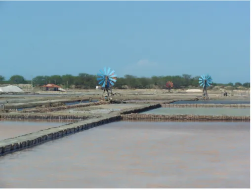 Figura 1. Fotograia (2003) das salinas mecanizadas localizadas no estuário do  Rio Apodi-Mossoró (Grossos-RN)