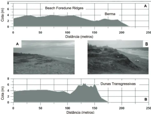 Figura 6: 6A – Unidade de Paisagem referente às Dunas Frontais sob Cristas de Praia (Beach Foredune Ridges)