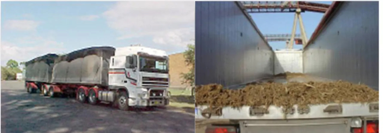 Figura 4 - Camião para transporte de biomassa.