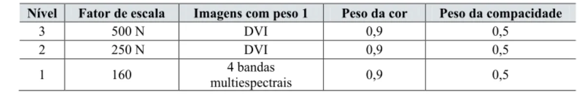 Tabela 1 - Parâmetros dos três níveis de segmentação.