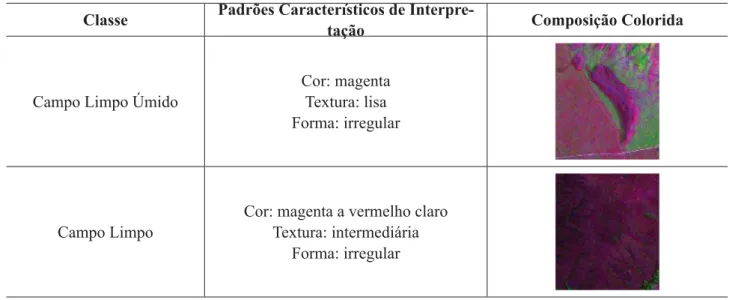 Tabela 2: Exemplo de chave de interpretação utilizada para mapeamento de Campo Limpo Úmido e Campo Limpo.