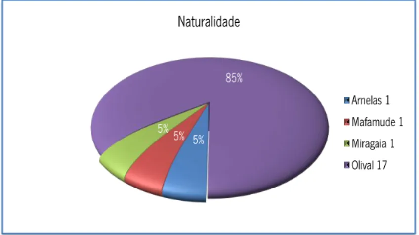 Gráfico nº 1: Naturalidade