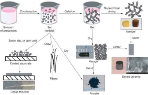 Figure 5: Sol-gel process (https://www.llnl.gov/str/May05/Satcher.html). 