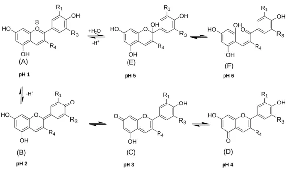 Fig9 - Formas das antocianinas em função do pH (Castaneda-Ovando, et al) 