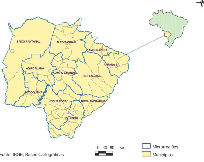 FIGURA 2: Estado do Mato Grosso do Sul e microrregiões.