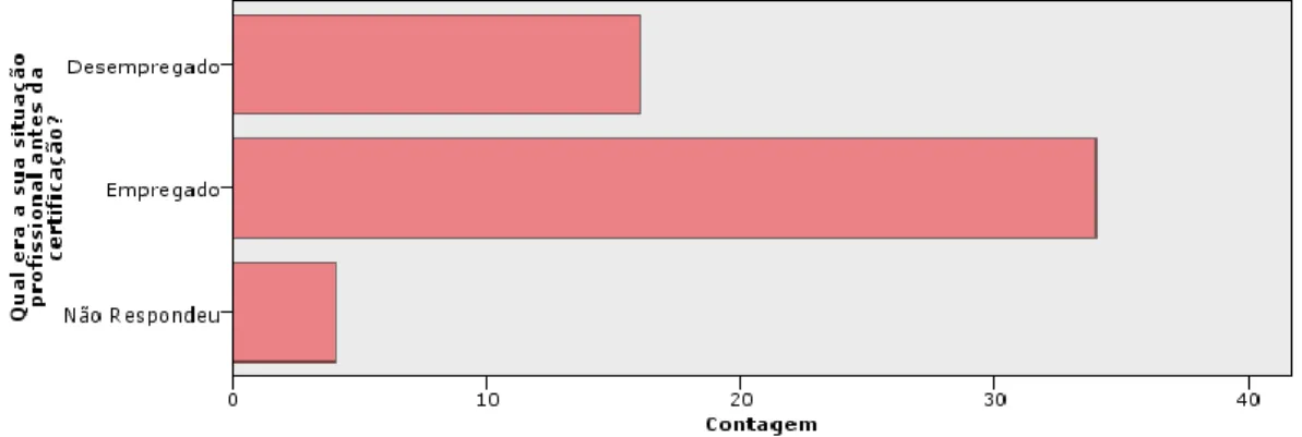 Gráfico 5 - Distribuição da situação profissional de adultos (F) certificados, antes da certificação 