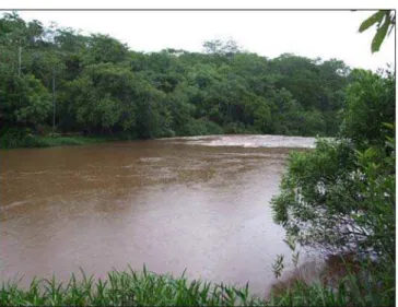 FIGURA 3: Foto do Rio São Tomás, ponto de amostragem 1 (PAH 1)