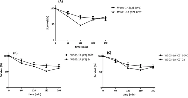 Fig. 9.  Optimizing  ceramide-induced  cell  death.  Wild-type  yeast  cells  (W303-1A)  were  exposed  to  different conditions: (A) Exposure to C2-ceramide at 30ºC and 37ºC; (B) addition of C2-ceramide at T0  and T60 min; (C) addition of C2-ceramide at T