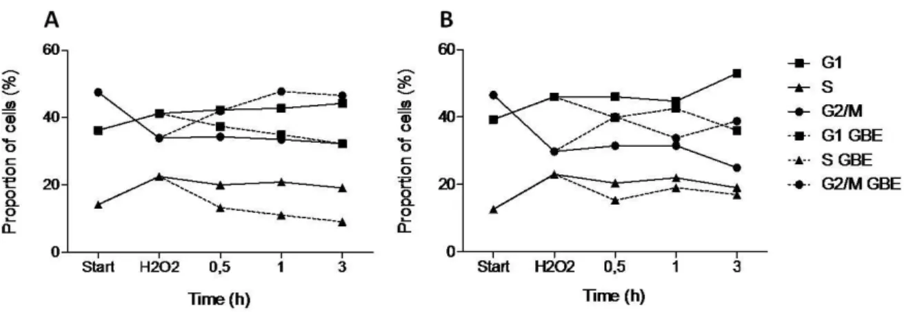 Figure  5.  GBE  effect  on  cell  cycle  progression  of  S.  cerevisiae rad4  and  rad23  mutants  after  exposure to H 2 O 2 