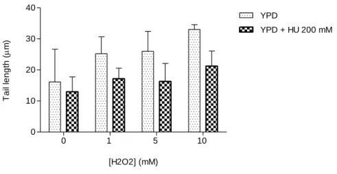 Figure  7.  Toxicity  and  DNA  damage  induced  by  the  exposure  of  S.  cerevisiae  cells  to  H 2 O 2 