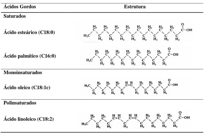 Tabela 1. Estrutura química das diferentes classes de ácidos gordos. 