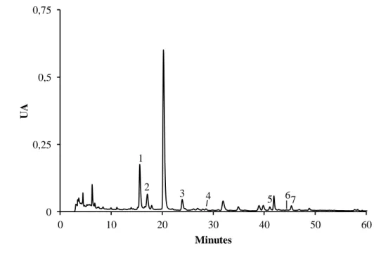 Figura 11. Perfil cromatográfico dos compostos fenólicos de rebentos de G. max obtido por HPLC/DAD