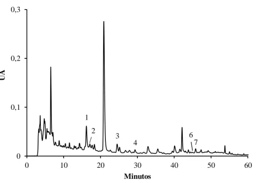 Figura  12.  Perfil  cromatográfico  dos  compostos  fenólicos  de  rebentos  de  V.  radiata  obtido  por  HPLC/DAD