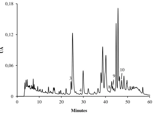 Figura  13.  Perfil  cromatográfico  dos  compostos  fenólicos  de  rebentos  de  M.  sativa  obtido  por  HPLC/DAD