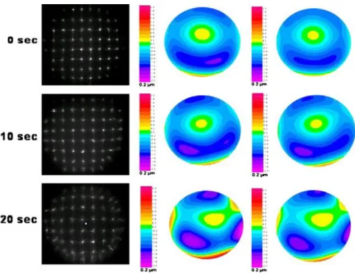 Figura  1.2.  Aberrações  totais  (coluna  do  meio)  e  corneais  (coluna  da  direita)  registadas  imediatamente  após  o  pestanejar (t=0), 10 seg