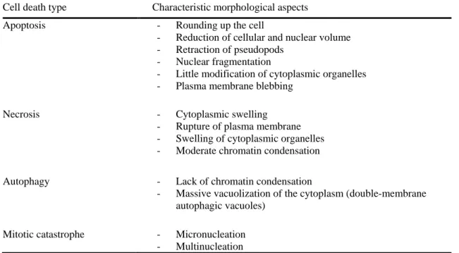Table I-1. Morphological aspects of different types of cell death. Adapted from Galluzzi et al., 2007