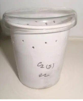Figura 5 – Copo preparado para um ensaio, contendo 50 g de solo (enriquecido com comunidade bacteriana), Zn e  os nemátodes