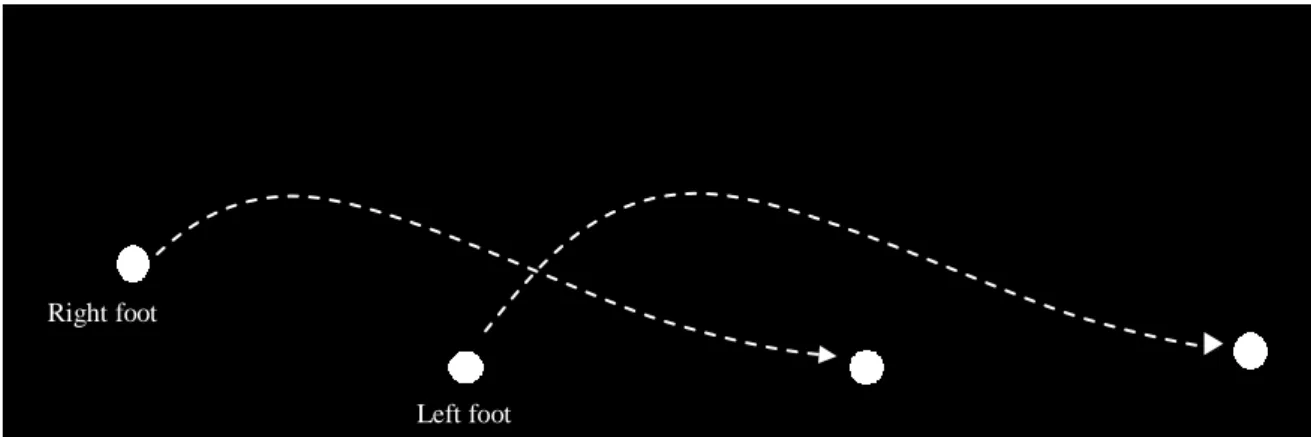 Figure 8. Movement description of the second visual stimuli. Only two dots are projected, each one corresponding to one foot