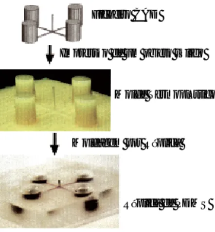 Figura  7:  Esquema  de  protótipos  de  dispositivos  em  PDMS  utilizando  impressão  de  objetos  sólidos