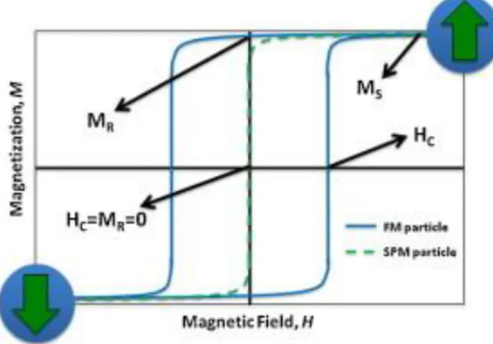 Figura 2.3 - Curva de campo magnético vs. magnetização teórica para nanopartículas superparamagneticas (SPM) e  ferromagnéticas  (FM),  onde  os  parâmetros  do  campo  coercivo  (H c ),  saturação  de  magnetização  (M S )  e  magnetização remanescente (M