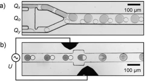 Figura 2.6 – Representação esquemática de um sistema microfluídico gota a gota para produção de nanopartículas  magnéticas de Fe3O4 por coprecipitação de soluções de Fe(II) e Fe (III) em óleo: a) módulo bipartido com Q0 para o  óleo  e  Qy  para  as  duas 