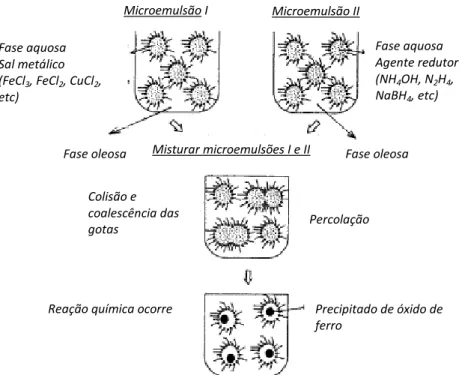Figura  2.8  -  Esquema  proposto  por  I.  Capek  para  obtenção  de  nanopartículas  pelo  método  de  microemulsão  (I  2004)