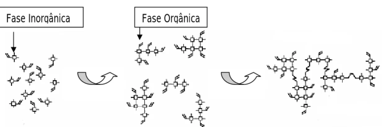 Figura 2.3. Esquema da formação do híbrido orgânico–inorgânico de classe II [3]. 