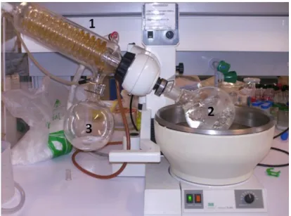 Figura 2.7. Processo de remoção do THF num evaporador rotativo, 1) Condensador Friedrich,  2) Balão de evaporação, 3) Balão colector