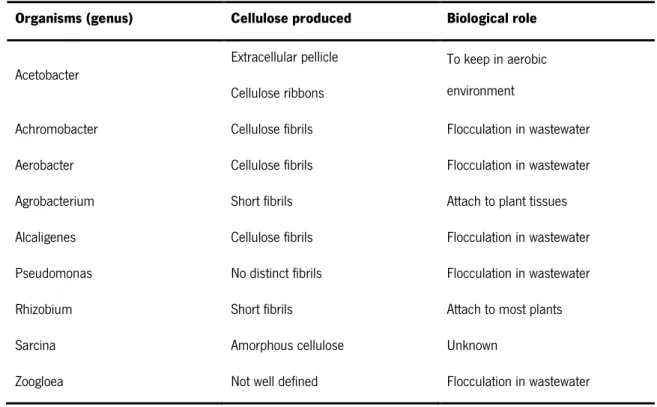 Table 2 - Different strains producing microbial cellulose [54] 