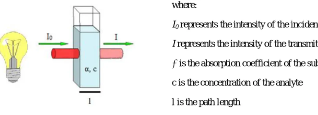 Figure  17  -  Beer-Lambert  absorption  diagram  of  a  light  traveling  through  a  sample  of  width  l