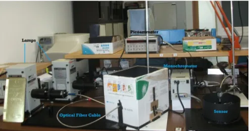 Figure 25 -  Home-made spectrophotometer 