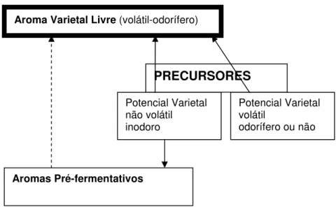 Figura 6-1 Componentes do aroma varietal (adaptado de Baumes et al., 1994). 