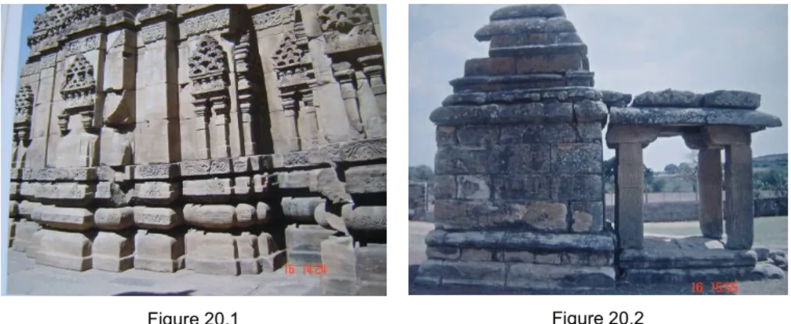 Figure 20.1  Figure 20.2 