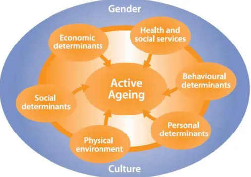 Figura 5 | Determinantes do Envelhecimento Activo 