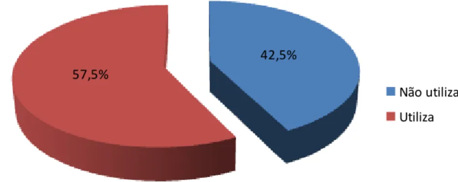 Figura 10 | Distribuição dos inquiridos, de acordo com a sua utilização do computador e internet 
