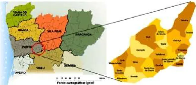 Figura 2: O Concelho de Baião – Freguesias e localização no distrito e na região 