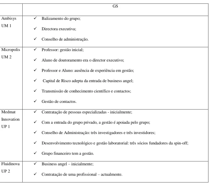 Tabela 17 - Item Gestão da Spin-off (GS)