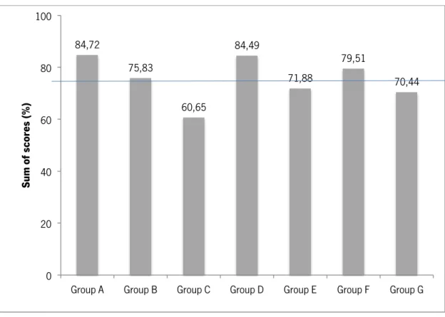 Figure 2 - Sum of scores (in percentages) per group of questions 